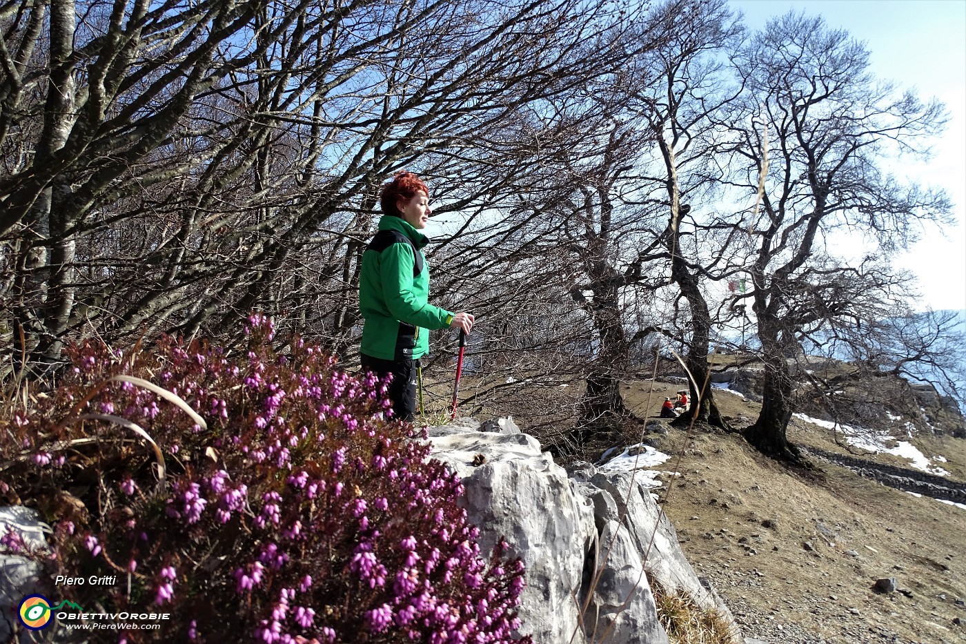 88 Uscendo dal bosco con erica....JPG